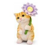 %e5%a4%aa%e9%98%b3%e8%83%bd%e7%8c%ab%e5%92%aa%e7%81%af%ef%bd%9c%e4%b8%80%e5%8f%aa%e4%bc%9a%e5%8f%91%e5%85%89%e7%9a%84%e8%8a%b1%e5%9b%ad%e5%b0%8f%e7%b2%be%e7%81%b5